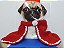 Capa para Pet Vermelha - Tamanho G (PET MANIA) - Imagem 1