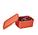 Tupperware® Basic Line Laranja Coral - 500ml - Imagem 1