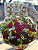 Buquê de 24 Rosas Vermelhas com Ferrero Rocher 12Un - Imagem 1