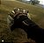 LUVASGO PRO GOLD BLACK - Imagem 1