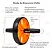 Roda de Exercício - Imagem 3