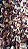 Mix de Castanha / Mix de Nuts 1 kg - Imagem 3