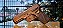 Pistola Taurus G3 T.O.R.O 9x19mm - Imagem 6
