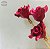 Varetas com Botões de Rosas Coloridos e Detalhes em Strass - Imagem 5