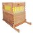 Colmeia Automática Iraí Top c/ 7 Autoframes - Imagem 6