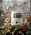 Cronos Creme facial noturno - Imagem 5
