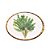 Prato Raso Melamina Palm Tree 27cm - Imagem 1