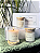 Kit 3 VELAS 50g - Coleção Emoções - Imagem 3