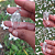Pingente Cristal Exemplar Lapidação especial - Imagem 1