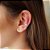 Brinco Piercing Fake Folha - Joia em Prata 925 - Imagem 2