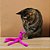 Brinquedo KONG Gatos Cat Wubba Mouse - Imagem 4