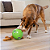 Dog Snuffle N´Treat Ball - Imagem 3