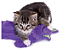 Catstages Purr Pillow Kitty - Imagem 3