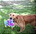 KONG FRIZZLES - Imagem 5
