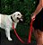 Guia KONG Adjustable Leash - Imagem 4