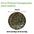Pct c/ 11 Discos para Caderno c/ Discos Transparente - Diâmetro 24mm - Imagem 2
