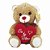 Urso De Pelúcia 20cm Eu Te Amo em Poliéster Fizzy - Imagem 3