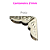 Pct c/ 20 Cantoneiras Desenhadas 21mm - Imagem 5