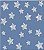 Tecido Tricoline Bahamas Estrelas 1339 C/1,50 X 1,00 Metros - Imagem 1