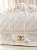 Capa para Bolsa Alfaiataria e Organza - Imagem 9