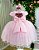 Vestido Jardim Encantado Festa Rosa Bebe - Imagem 2