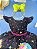 Vestido Infantil Preto Unicórnio Neon Festas Aniversários - Imagem 2