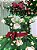 Vestido Infantil Encanto de Natal Verde Festa - Imagem 2