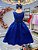 Vestido Infantil Azul Royal Busto Strass Daminhas Festas - Imagem 4