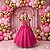 Fantasia Vestido Princesas Longo Infantil Rosa Pink Festa Luxo - Imagem 1