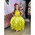 Fantasia Princesa Infantil Amarela Contos de Fadas Luxo Longa Festas Aniversário - Imagem 2