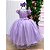Vestido Infantil Lilas Longo Princesa Com Saia Tule Festa - Imagem 5