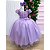 Vestido Infantil Lilas Longo Princesa Com Saia Tule Festa - Imagem 2