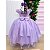 Vestido Infantil Lilas Longo Princesa Com Saia Tule Festa - Imagem 3