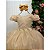 Vestido Infantil Formatura Dourado Longo Tule com Glitter 1 ao 18 - Imagem 5