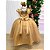 Vestido Infantil Juvenil Longo Princesa Com Saia Tule Festa Renda Menina Formatura - Imagem 7