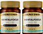 Dr. Botânico Mentalfocus 1230mg 60caps - Imagem 1