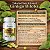 Ginkgo Biloba 60 cápsulas - Fito Green - Imagem 2