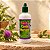 Cardo Mariano em Gotas 100ml - Vida Ervas - Imagem 1