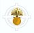 Distintivo de gola dourado Artilharia - Imagem 1