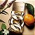 MICHAEL KORS | POUR FEMME | Eau de Parfum Feminino 30ml - Imagem 3