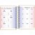AGENDA ESPIRAL DIÁRIA 11,7 X 16,4 CM SHINE 2025 - Imagem 6