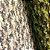Tricoline Estampado 100% Algodão - Camuflagem Verde - Imagem 3