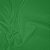 Tactel - Verde Bandeira - 1,60m de Largura - Imagem 1
