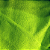 Atoalhado Poliamida Felpudo - Verde Limão - 1,47m de Largura - Imagem 1