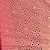 Laise Bordado 100% Algodão - Linhagem Floral Rosa - 1,40m de Largura - Imagem 1