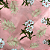Percal 300 Fios Estampado Poliéster - Floral Branco Fundo Rosa - 2,50m de Largura - Imagem 1