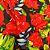 Tecido Chita Poliéster - Floral Vermelho Fundo Preto - 1,50m de Largura - Imagem 4