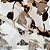 Tecido Viscose com Elastano Estampada - Ramagem Floral Cinza - 1,50m de Largura - Imagem 4