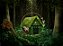 Floresta Encantada - Imagem 1