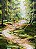 Floresta - Imagem 2